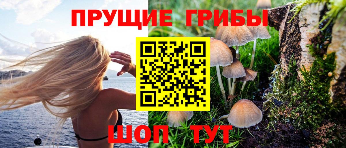 Галлюциногенные грибы мухоморы Советский