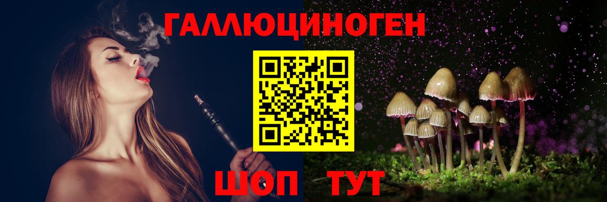 Советский  Псилоцибиновые грибы Psilocybe  Вход с VPN  Галлюциногенные грибы мицелий 