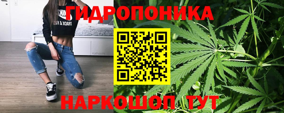 Шишки марихуана SATIVA & INDICA  Канабис план  Конопля семена  Советский  Бошки Шишки тримм  Вход с VPN 